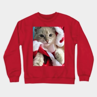 Saoirse ragdoll Santa baby Crewneck Sweatshirt